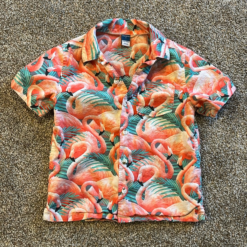 Toddler Boys 5T button down shirt sleeve shirt